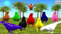Colorido Dinosaurio De Color | Canción| Canciones Infantiles De Compilación Para Los Niños Rimas Collectio