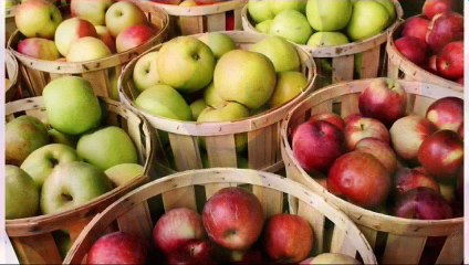 An apple a day keeps the doctor away .