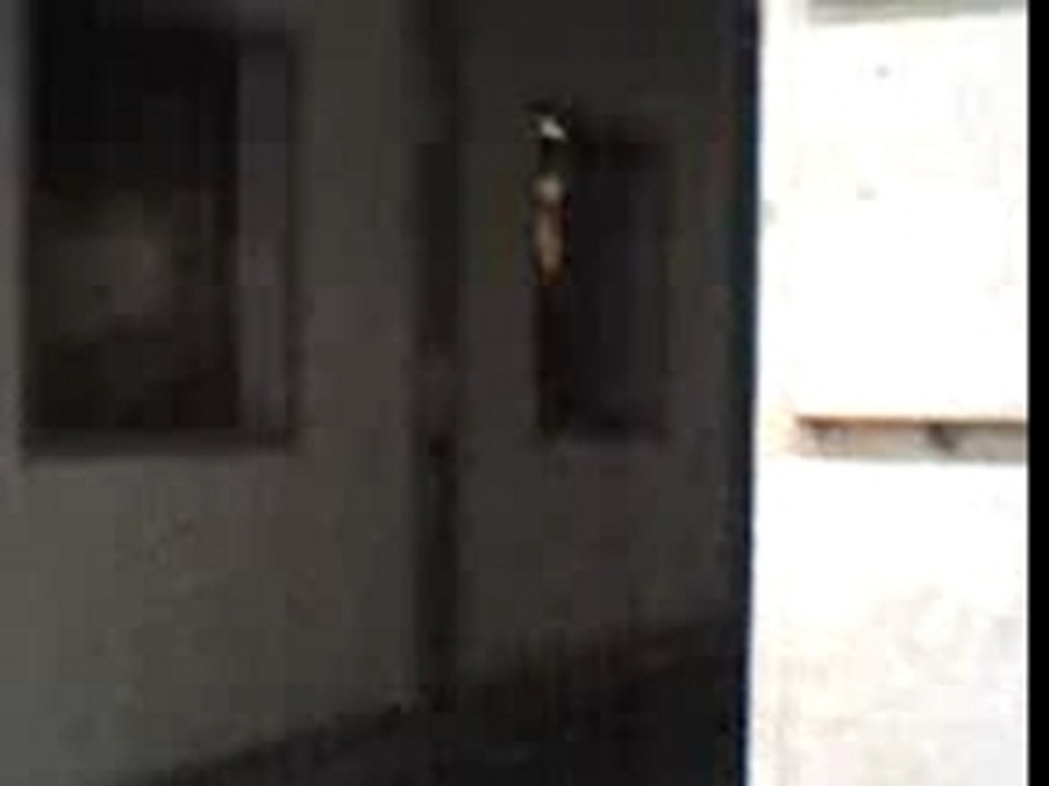 Jessie la gagnante de popstars