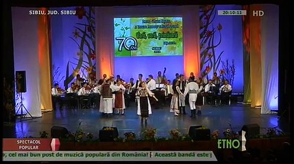 Codruta Rodean - Bade, dorurile mele (Festivalul Vara, vara primavara - Sibiu - 2014)