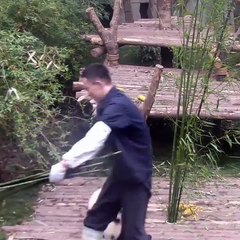 Buzz : Cet adorable bébé panda est littéralement accro à son soigneur !