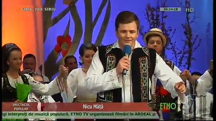 Nicu Mata - Am o mandra floare dulce (Festivalul Vara, vara primavara - Sibiu - 2014)