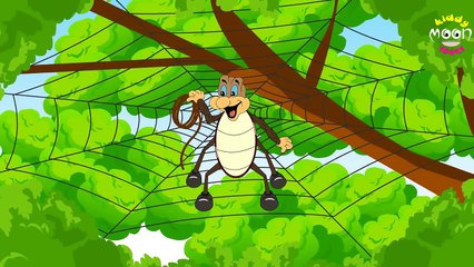 Incy Wincy Spider, Itsy Bitsy Spider and More Videos | Popular Nursery Rhymes by ChuChu TV