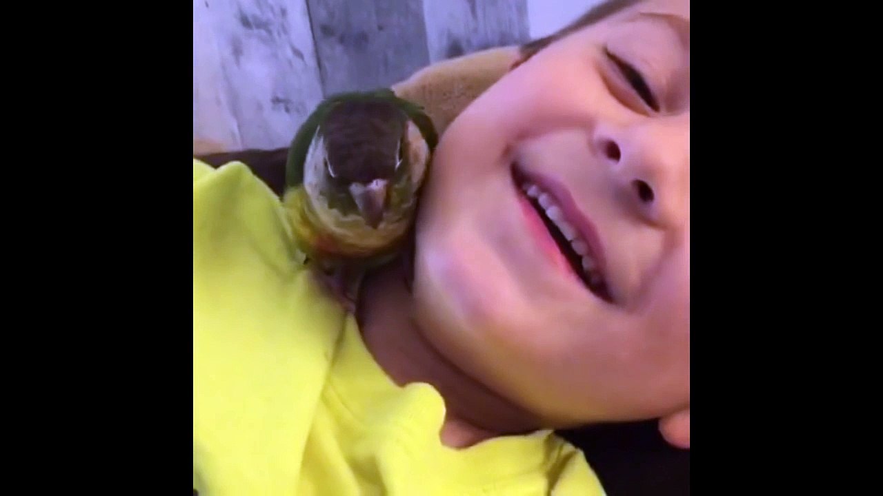 Cet enfant adore faire des câlins à son perroquet !