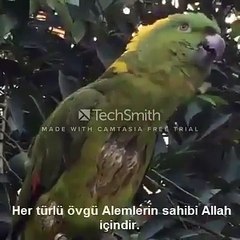 kuştan fatiha suresini dinlemeye ne dersiniz