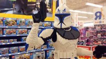 Lego Star Wars Captain Rex Lifesize | Oeiras Brincka