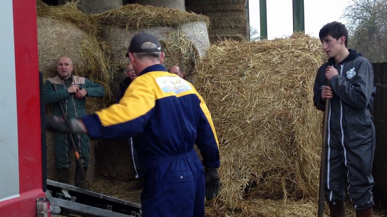 VIDEO. Les moutons gâtinais en partance pour le Salon de l'agriculture