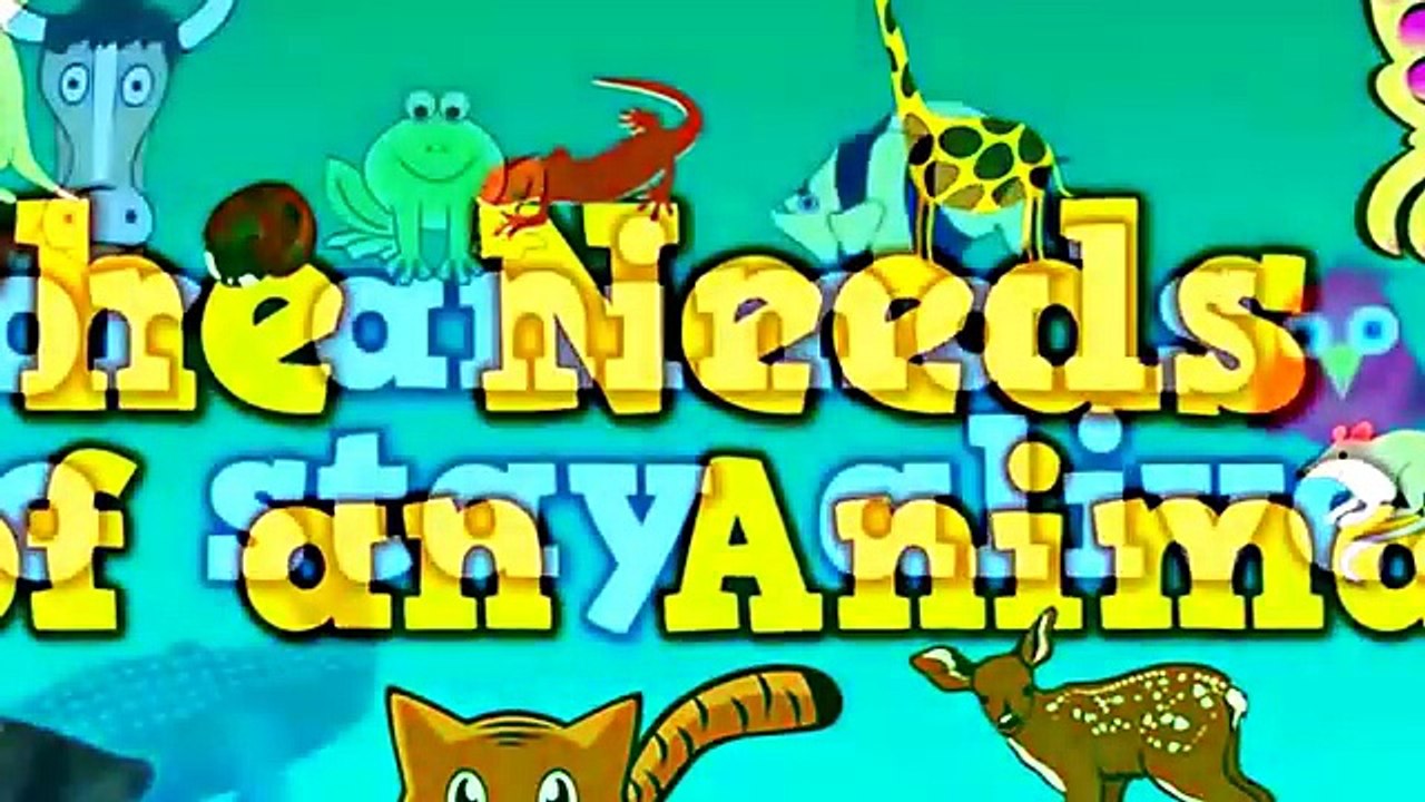 The Needs of an Animal (song for kids about 4 things animals need to ...