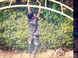 Padhdhar Boys School Picnic.... Std 1st And 2nd Students