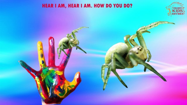 scary spiders finger family | nursery rhymes | scary videos | kids songs