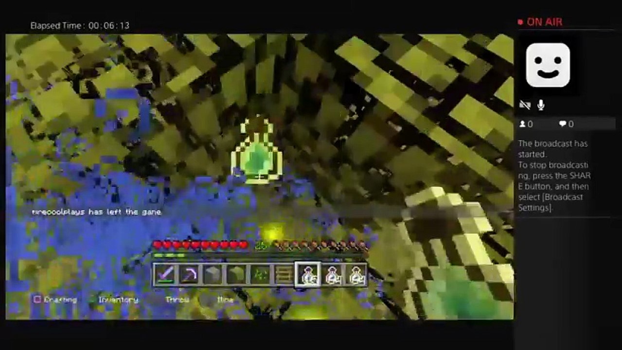 Minecraft (31)