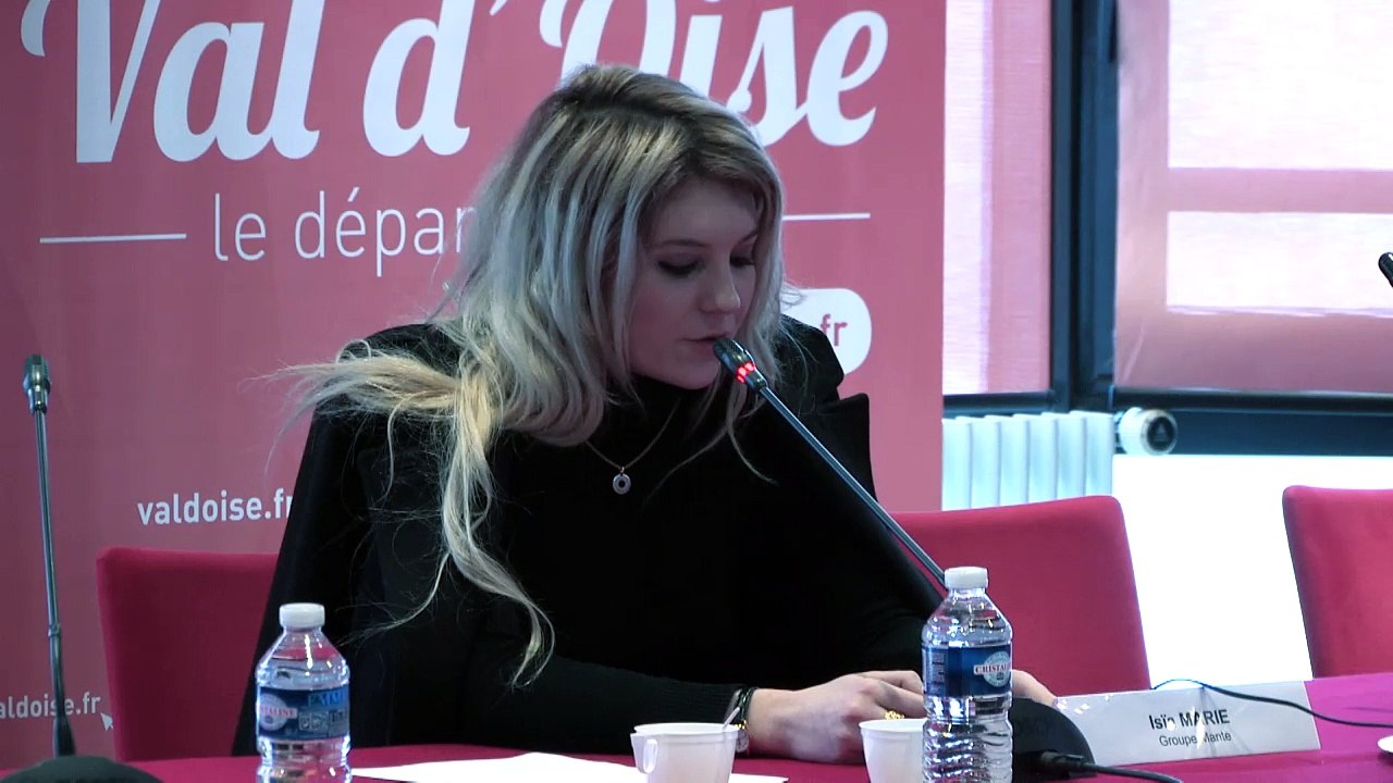 6- Rencontre musiques actuelles amplifiées « accompagnement de projet / accompagnement artistique : quelles passerelles ? »