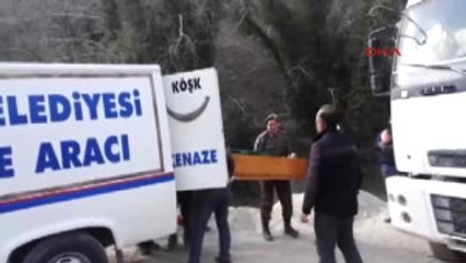 Aydın Damper Tellere Değince Kamyon Şoförü Öldü