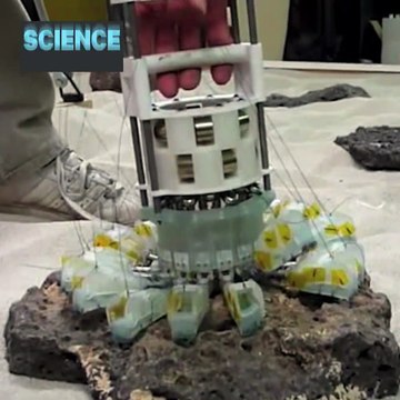 These NASA-designed grippers can lift massive rocks || A NASA projetou estas pinças que podem levantar pedras maciças.