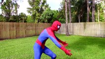 Congelados Elsa PISCINA SORPRESA! w/ Spiderman Maléfica Rosa Spidergirl Joker! Divertido Superher