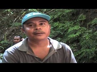 Pencari Madu Temukan Batu Giok Seberat 5 Ton di Gorontalo - NET5