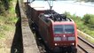 Züge und Schiffe bei Assmannshausen, SBB Cargo Re482, MRCE 189, ERS 189, 152, 185, 2x 428, 2x 427