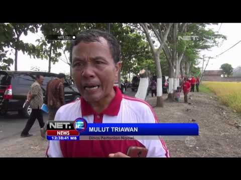 Kementerian pertanian beri bantuan 20 alat pertanian pada petani Ngawi - NET12