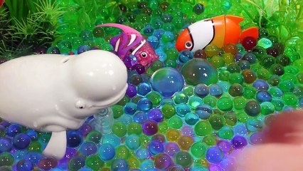 DIY How To Make Orbeez Aquarium Robotic Dolphin Fish Learn Colors Slime Toilet Poop