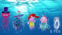 Finger Family Shark Nursery Rhymes | Sea Animal Finger Family | Octopus Finger Family for