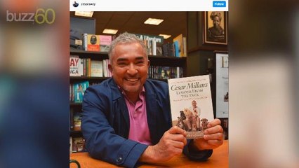 Cesar Millan Thinks Millennials Shouldn't Be Able to Adopt Dogs