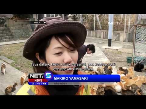 Ratusan Kucing Kalahkan Penduduk Desa Aoshima, Jepang - NET5