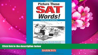 READ book Picture These SAT Words Philip Geer For Ipad