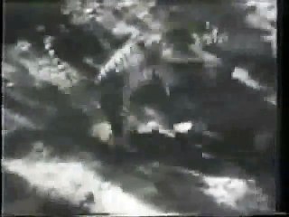 Lion vs Tiger _ Gir Forest Fight_ full edition