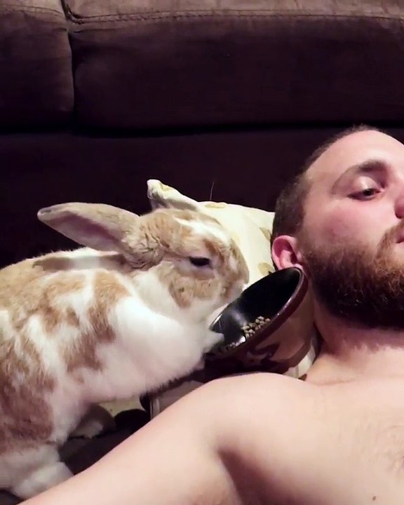 Bunny's Midnight Snack