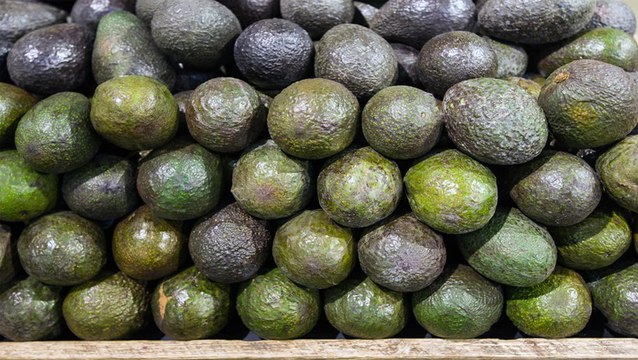 This VR Filmmaker Started Out Selling Avocados and Helping Friends With Record Labels