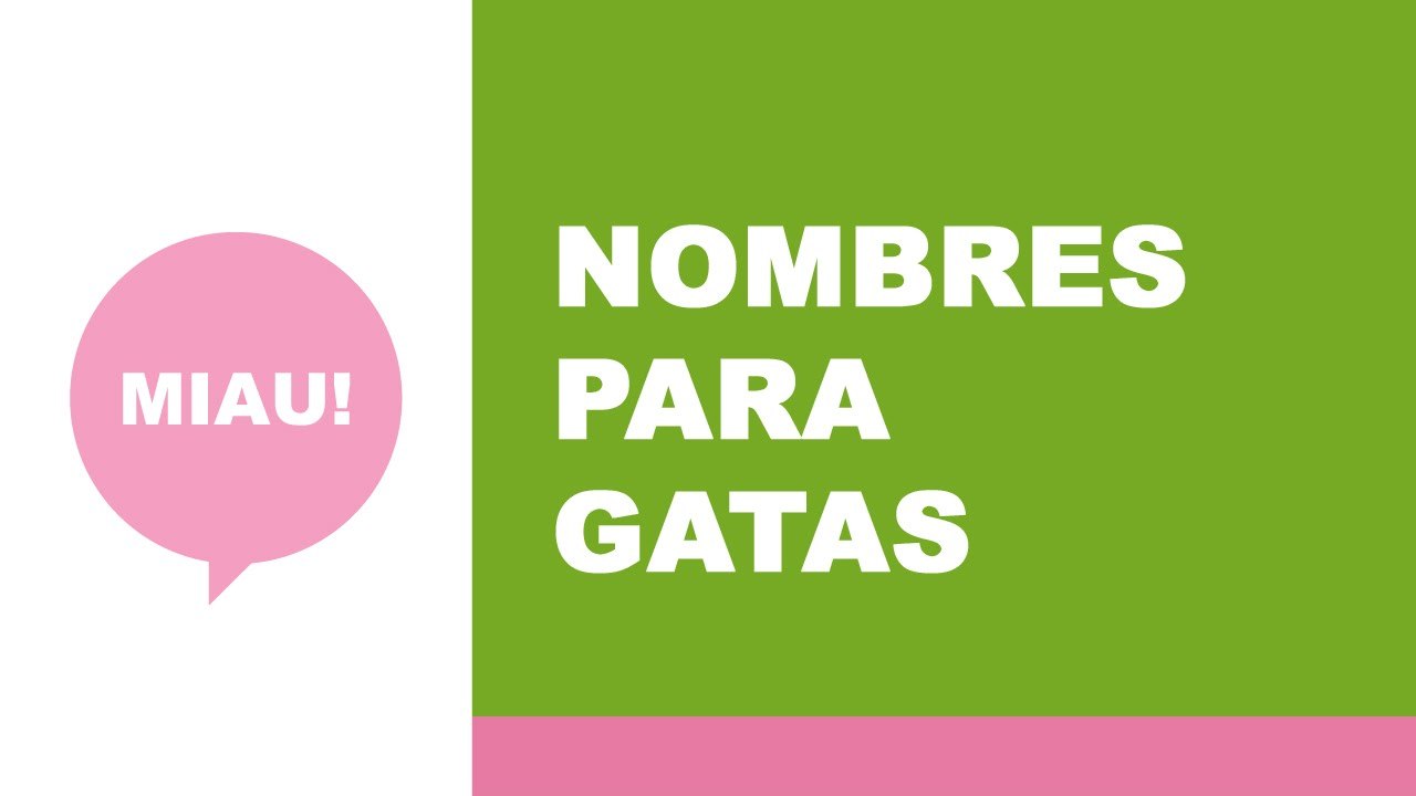 Nombres para gatas