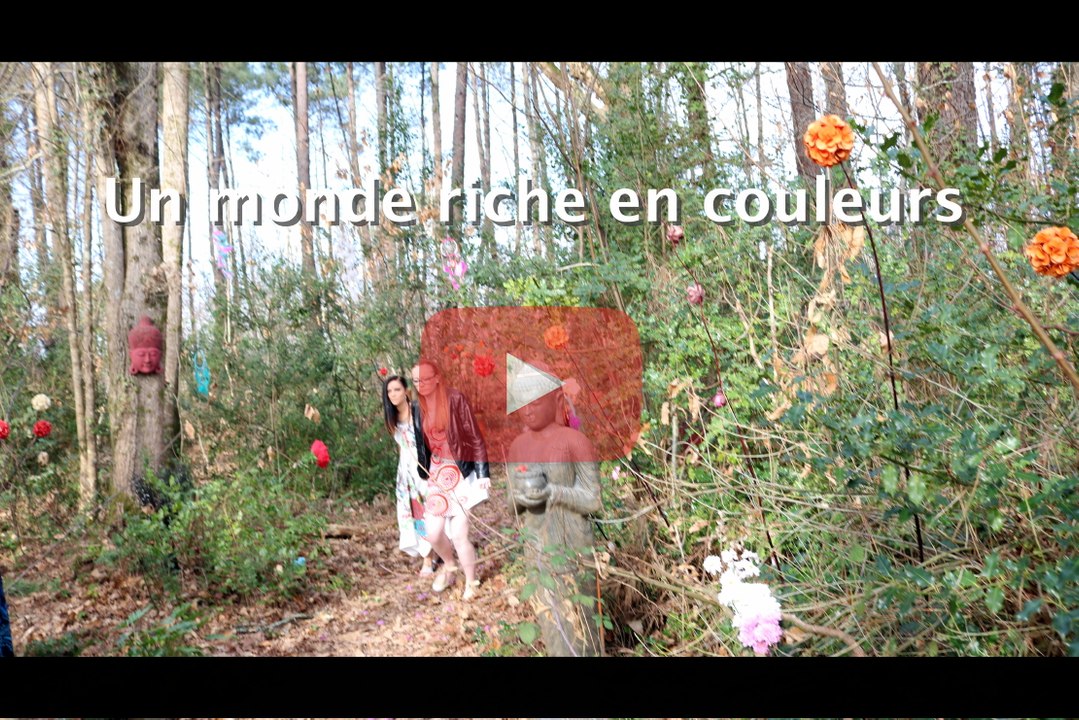 bande annonce "un monde riche en couleurs" CARGO SHOP TV