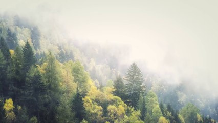 ¿Cuál es tu personalidad?