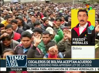 Bolivia: productores de coca de los Yungas y gobierno alcanzan acuerdo