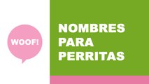 Nombres para perritas