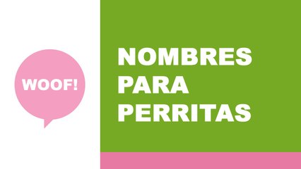 Nombres para perritas