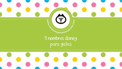 Nombres disney para gatas