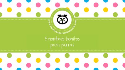 nombres bonitos para perras