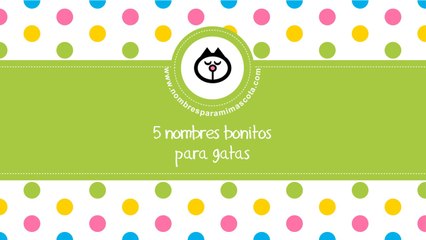 Nombres bonitos para gatas