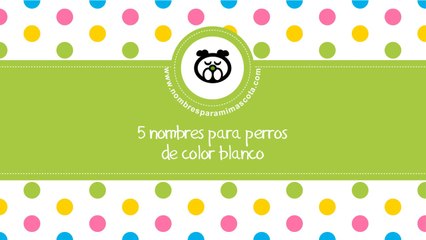 Nombres para perros de color blanco