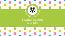 Nombres españoles para gatos