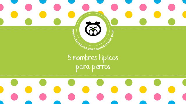 Nombres tipicos para perros - los mejores nombres para mascotas - nombresparamimascota.com