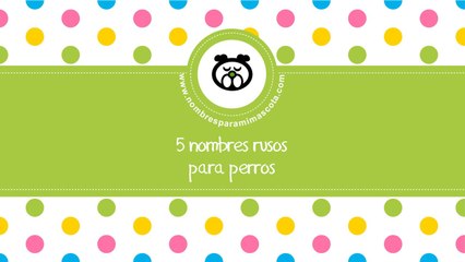 Nombres rusos para perros - los mejores nombres para mascotas - www.nombresparamimascota.com