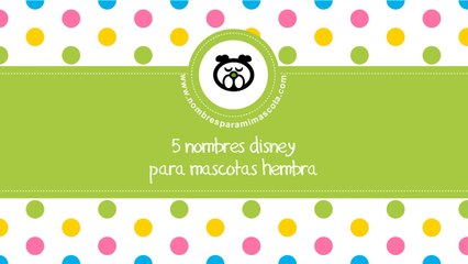 Nombres disney de mascotas hembra - los mejores nombres para mascotas - www.nombresparamimascota.com