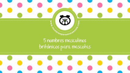 Nombres masculinos británicos - los mejores nombres para mascotas - www.nombresparamimascota.com