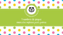 Nombres de grupos musicales para perros - nombres para mascotas - www.nombresparamimascota.com