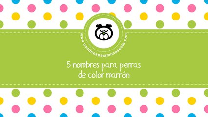 Nombres para perras de color marrón