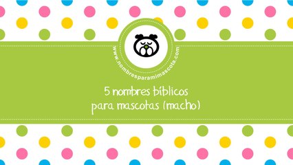 Nombres bíblicos para mascotas macho - www.nombresparamimascota.com