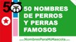 50 nombres de perros y perras famosos - los mejores nombres de perros - www.nombresparamimascota.com