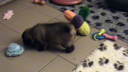 2017.02.22 - Premières découvertes